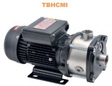 Captura da Web_19-5-2022_113659_.jpeg